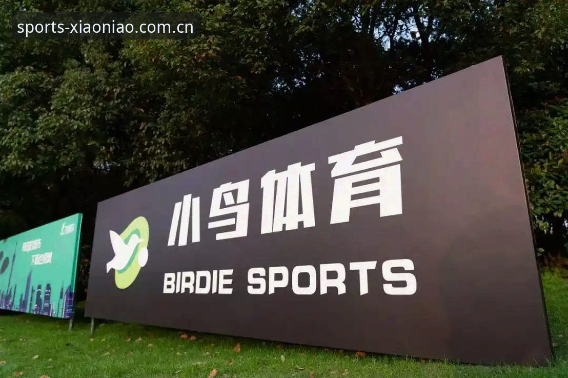 从菜鸟到老用户，我眼中的小鸟体育平台真实体验分享
