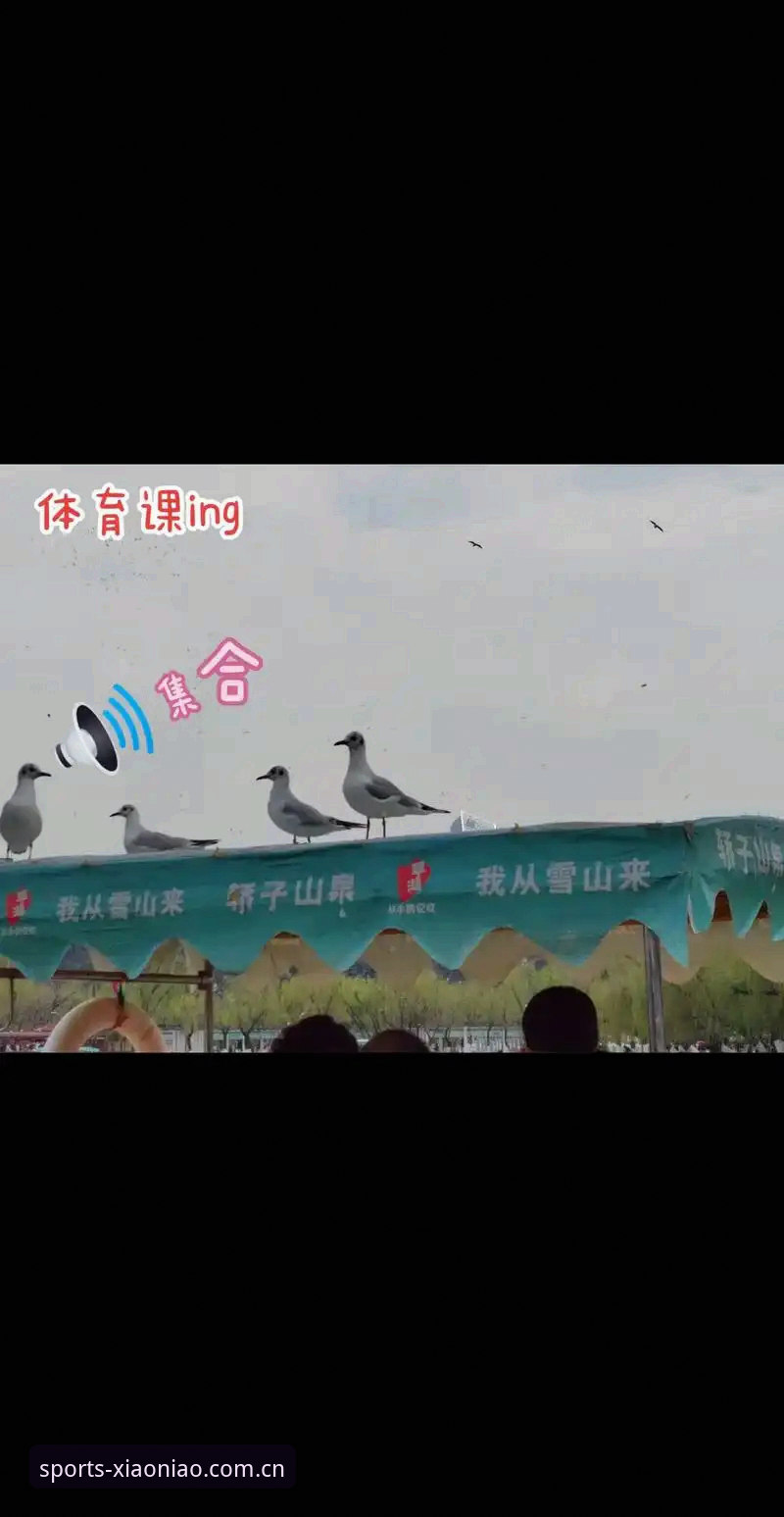 小鸟体育合法吗 小鸟体育合法吗?2024最新动态与实战操作指南
